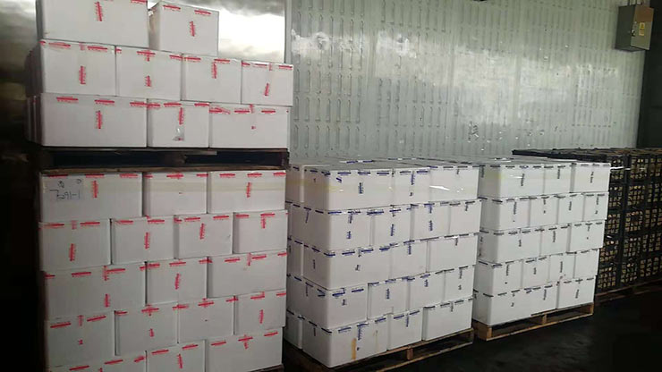 ������Ϸ| ��ҳ -������Ʒ,������Ʒ