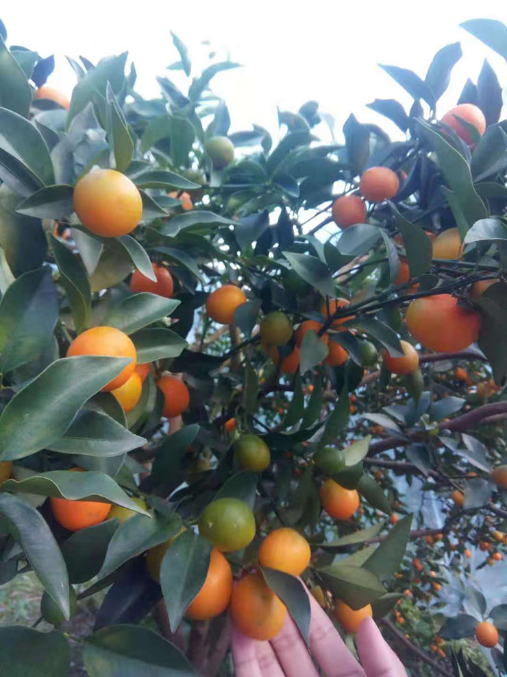 ������Ϸ| ��ҳ -������Ʒ,������Ʒ