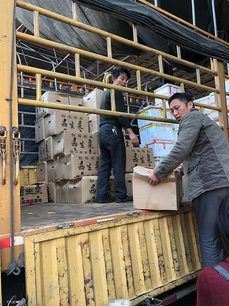 ������Ϸ| ��ҳ -������Ʒ,������Ʒ