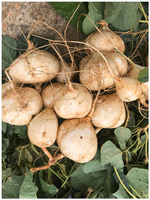 ������Ϸ| ��ҳ -������Ʒ,������Ʒ