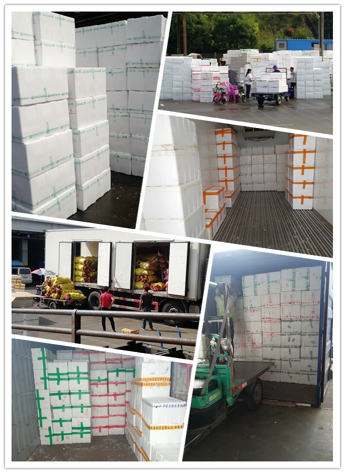 ������Ϸ| ��ҳ -������Ʒ,������Ʒ