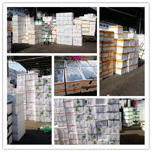 ������Ϸ| ��ҳ -������Ʒ,������Ʒ