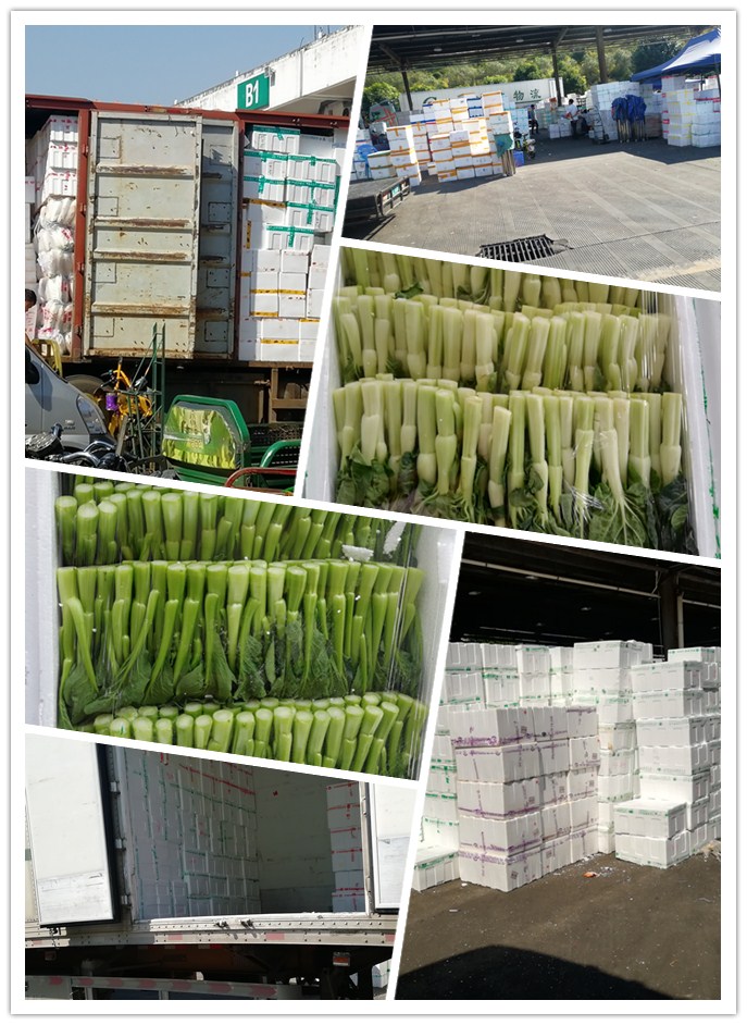 ������Ϸ| ��ҳ -������Ʒ,������Ʒ