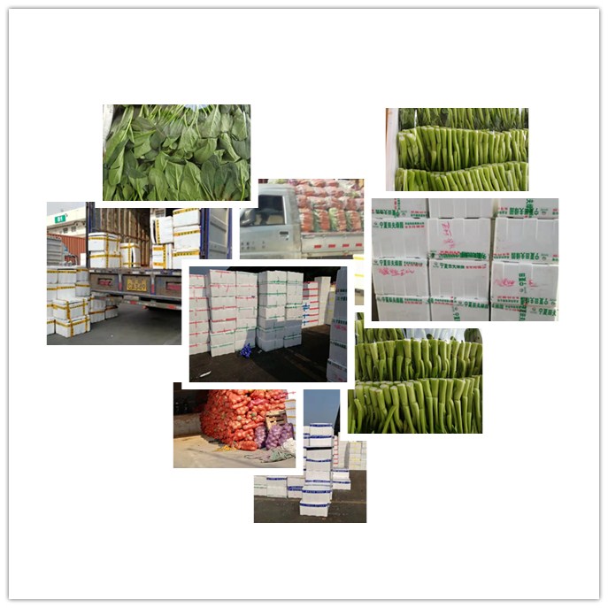 ������Ϸ| ��ҳ -������Ʒ,������Ʒ