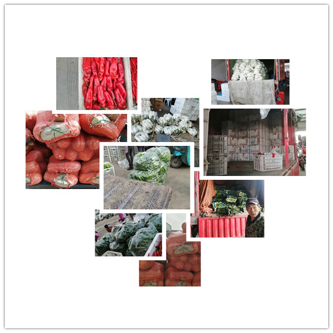 ������Ϸ| ��ҳ -������Ʒ,������Ʒ