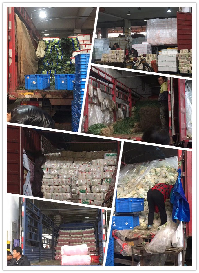 ������Ϸ| ��ҳ -������Ʒ,������Ʒ