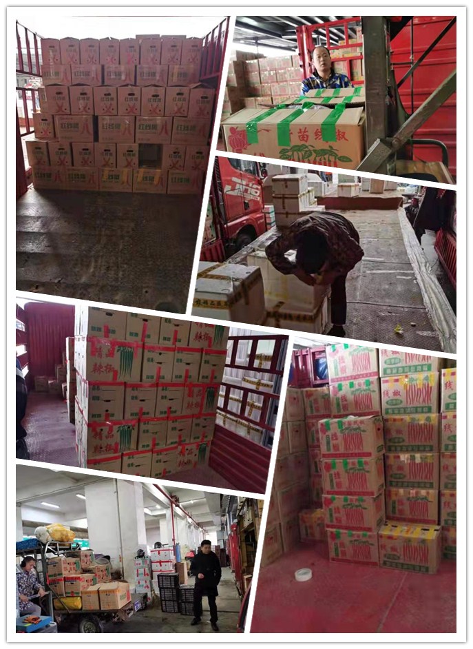 ������Ϸ| ��ҳ -������Ʒ,������Ʒ