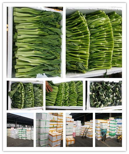 ������Ϸ| ��ҳ -������Ʒ,������Ʒ