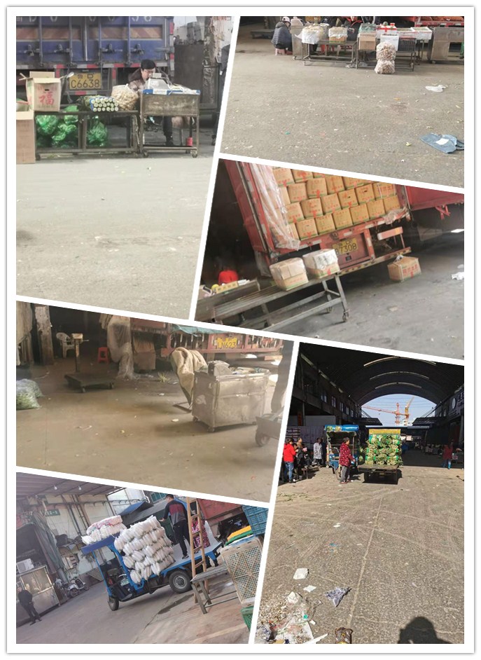 ������Ϸ| ��ҳ -������Ʒ,������Ʒ