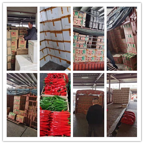 ������Ϸ| ��ҳ -������Ʒ,������Ʒ