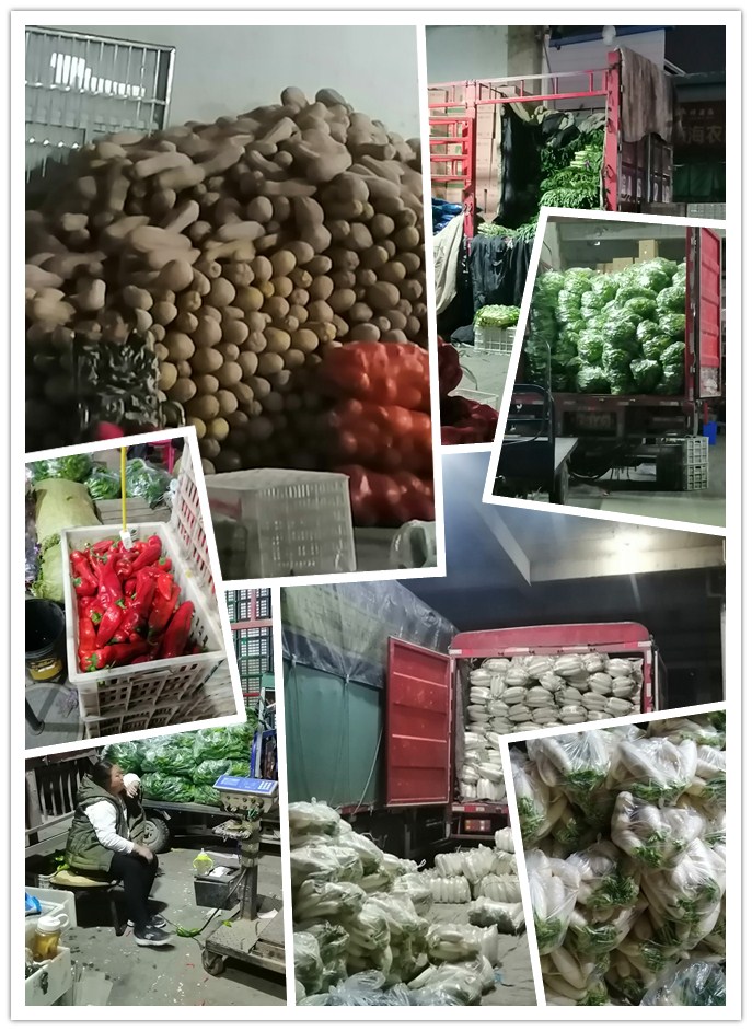 ������Ϸ| ��ҳ -������Ʒ,������Ʒ