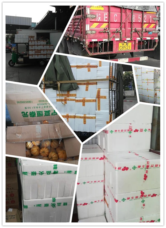 ������Ϸ| ��ҳ -������Ʒ,������Ʒ