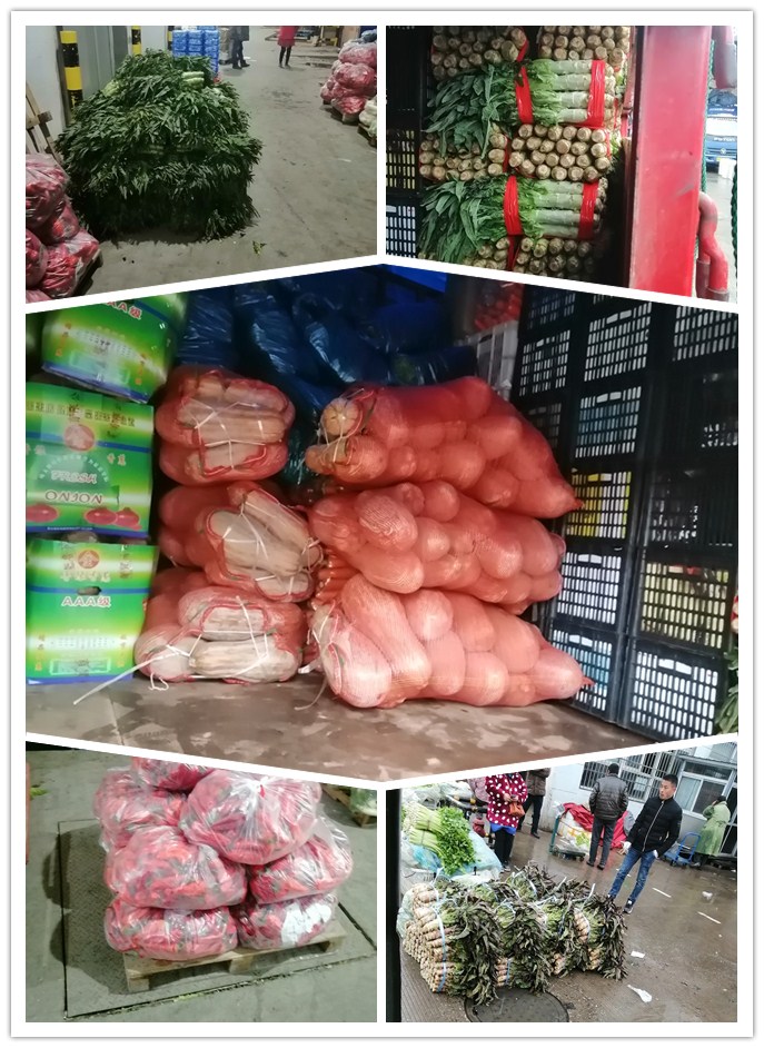 ������Ϸ| ��ҳ -������Ʒ,������Ʒ