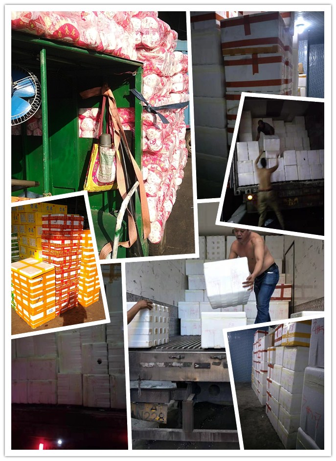 ������Ϸ| ��ҳ -������Ʒ,������Ʒ