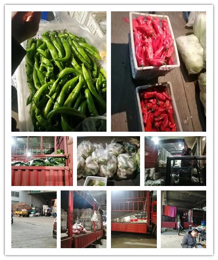 ������Ϸ| ��ҳ -������Ʒ,������Ʒ