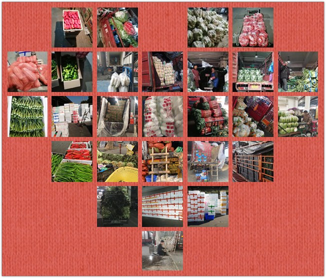 ������Ϸ| ��ҳ -������Ʒ,������Ʒ