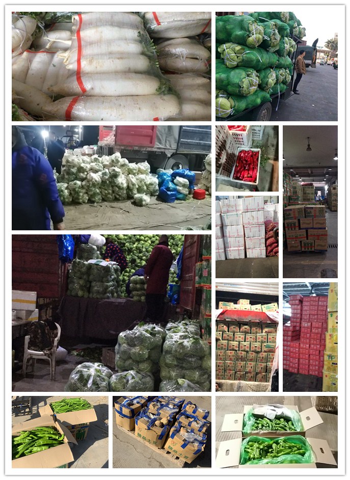 ������Ϸ| ��ҳ -������Ʒ,������Ʒ