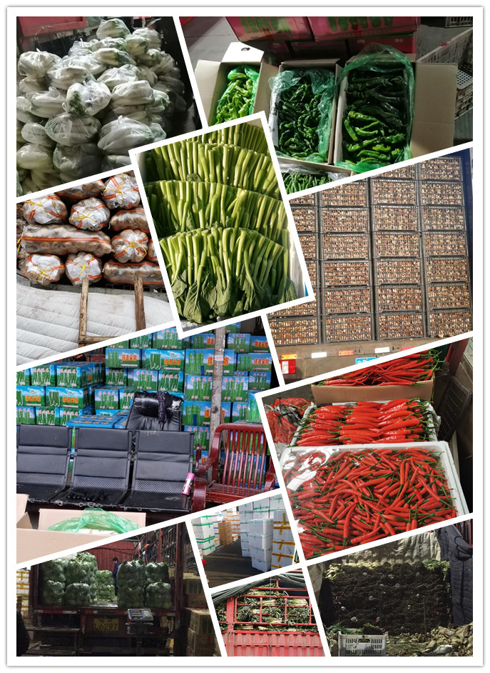 ������Ϸ| ��ҳ -������Ʒ,������Ʒ