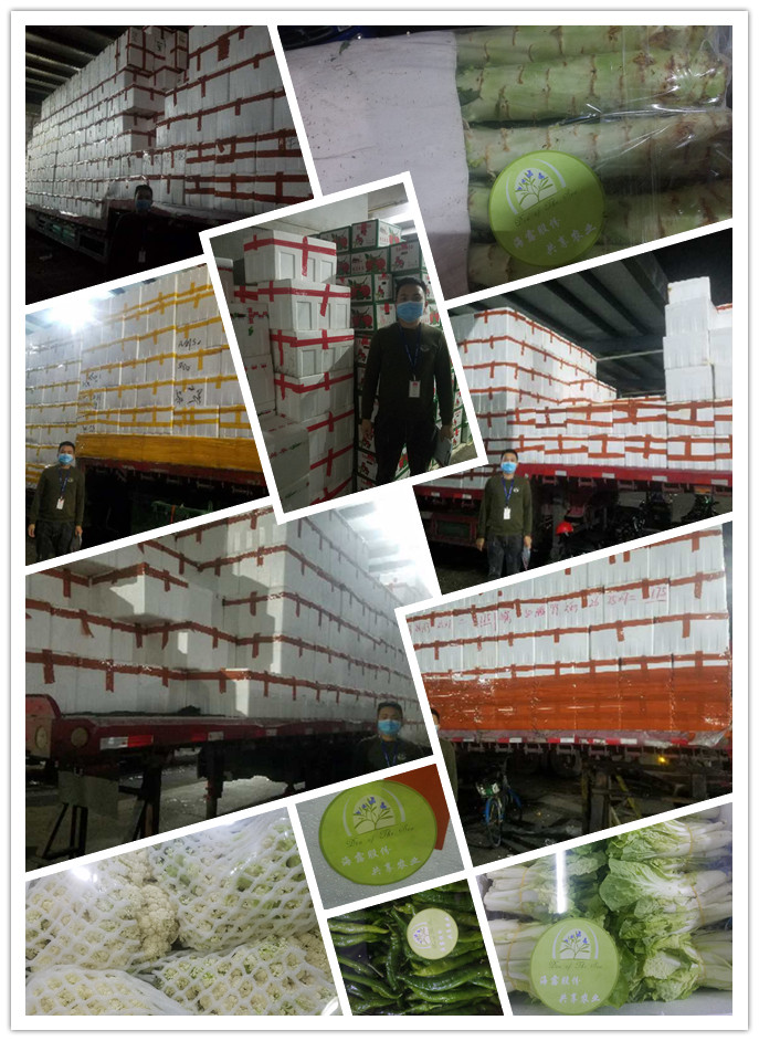 ������Ϸ| ��ҳ -������Ʒ,������Ʒ