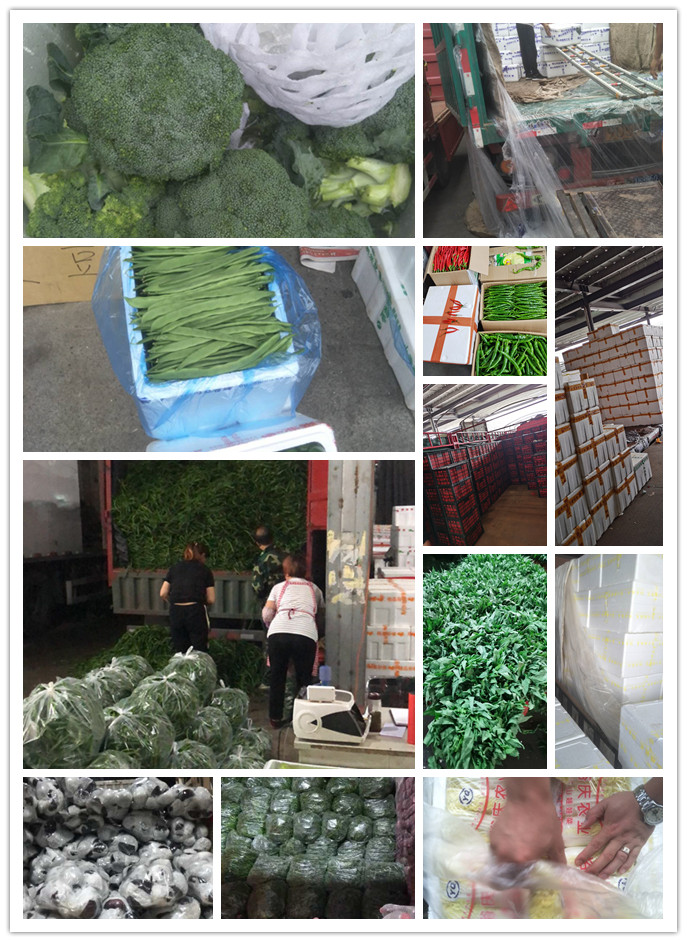 ������Ϸ| ��ҳ -������Ʒ,������Ʒ