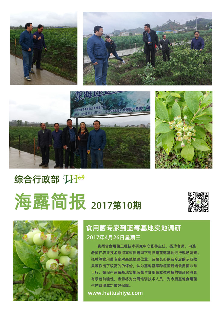 ������Ϸ| ��ҳ -������Ʒ,������Ʒ