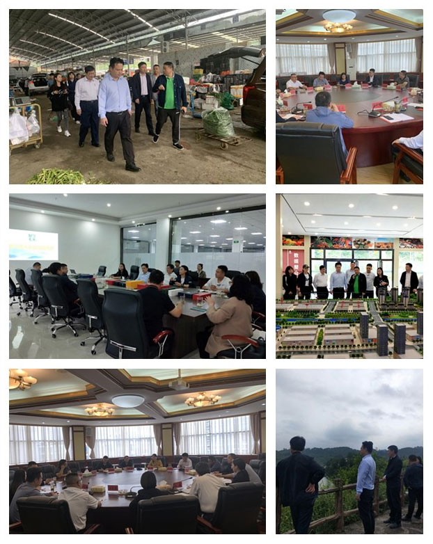 ������Ϸ| ��ҳ -������Ʒ,������Ʒ