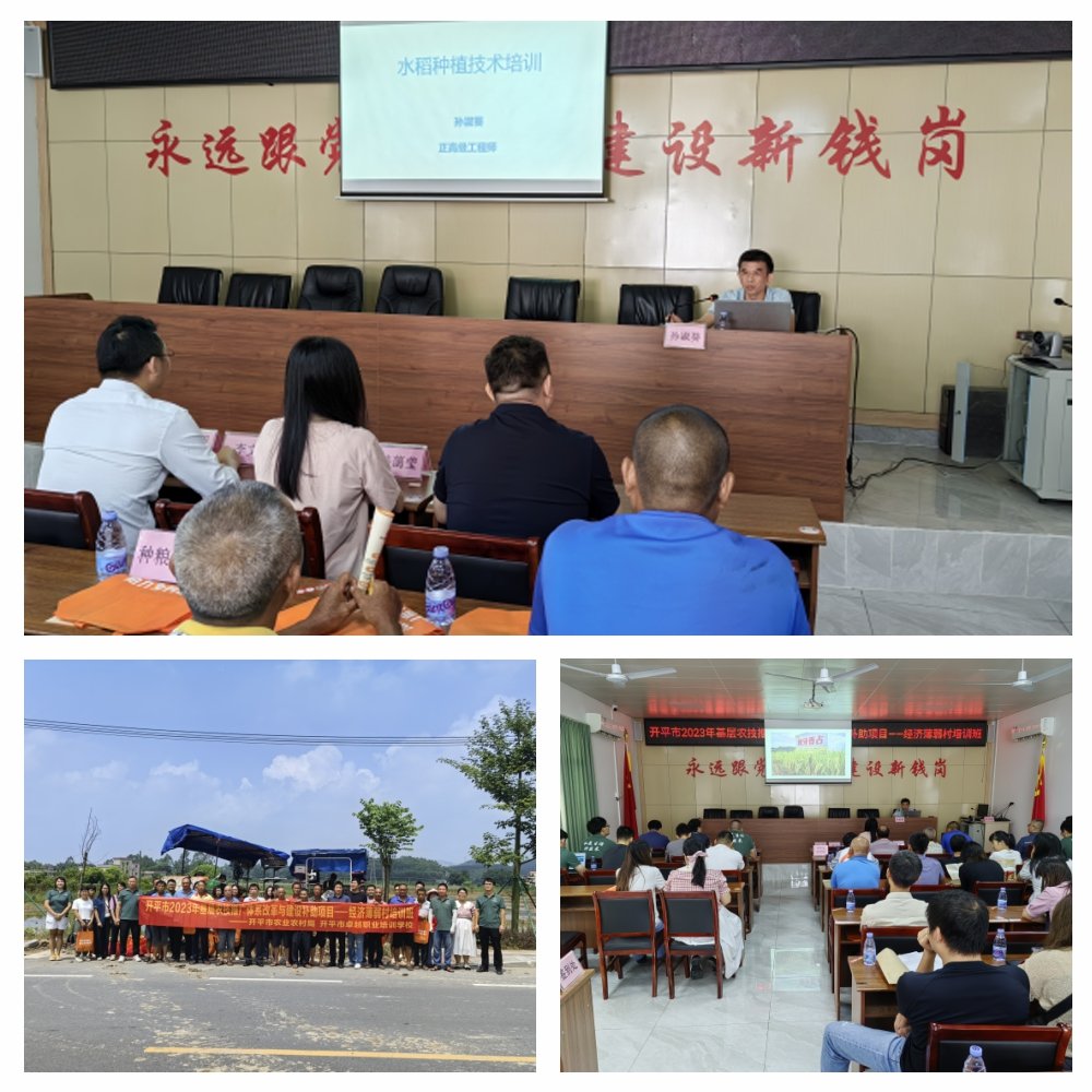 ������Ϸ| ��ҳ -������Ʒ,������Ʒ