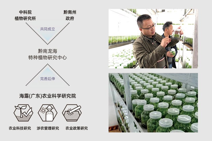 ������Ϸ| ��ҳ -������Ʒ,������Ʒ